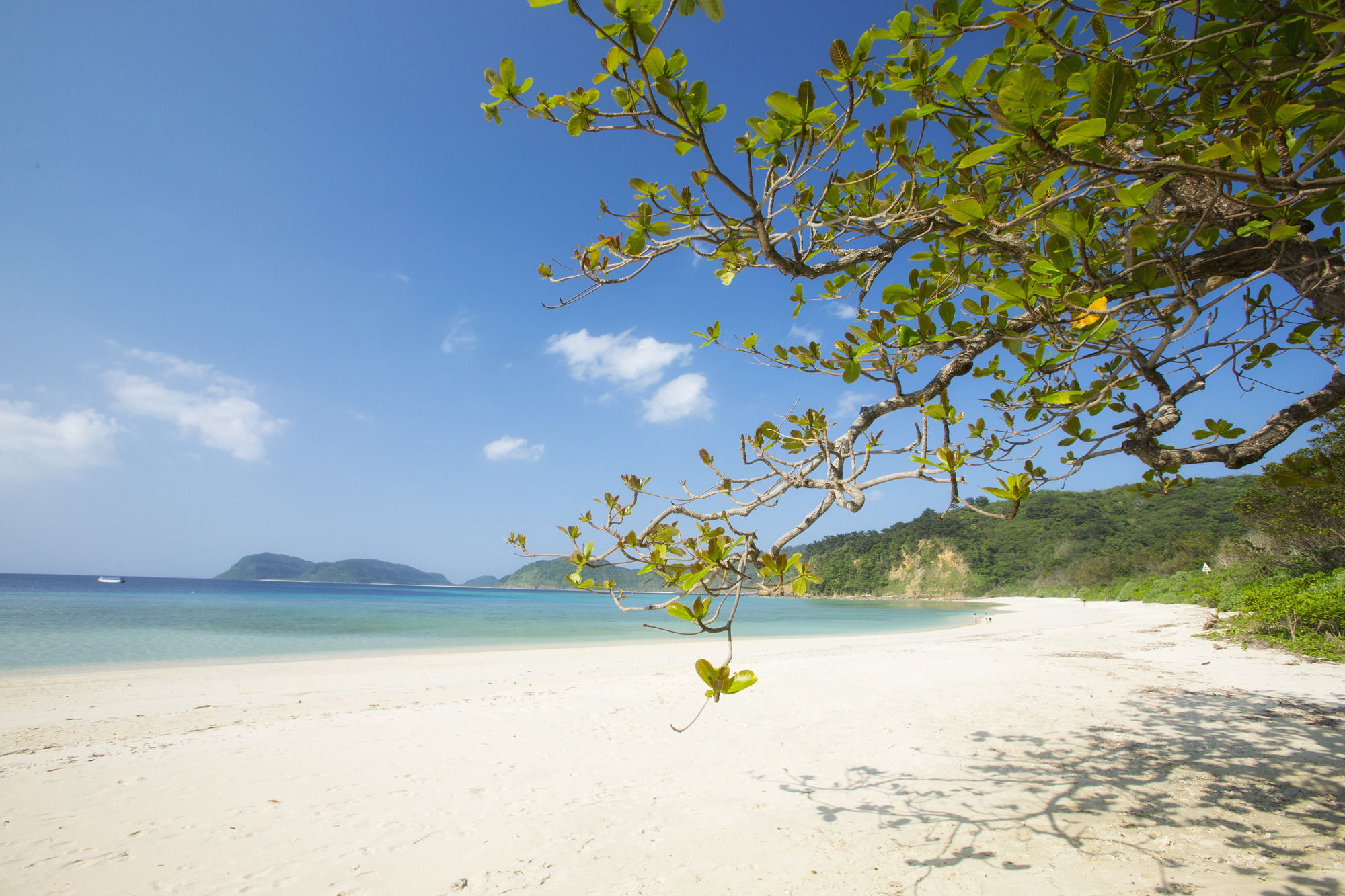 Iriomote Hotel By Hoshino Resorts Urauchi Eksteriør bilde
